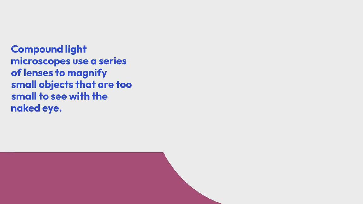Parts of a Compound Microscope