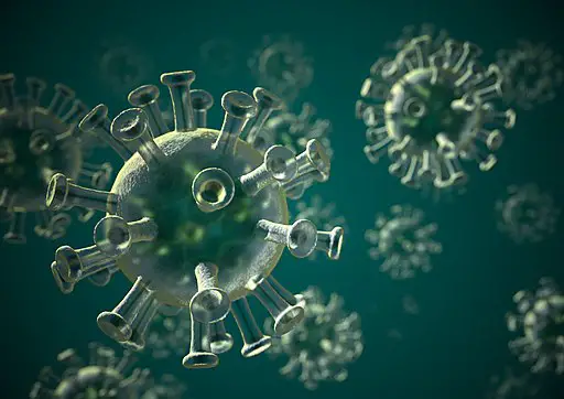 3D-illustration of Corona virus Covid-19 by HFCM Communicatie / CC BY-SA (https://creativecommons.org/licenses/by-sa/4.0)