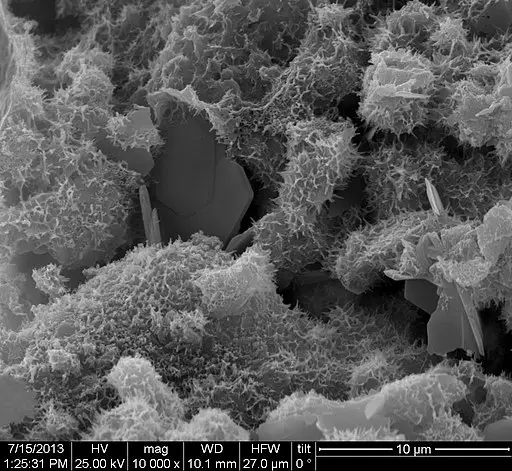 Scanning electron microscopy micrograph of cement by Μaria Amenta / CC BY-SA (https://creativecommons.org/licenses/by-sa/4.0)