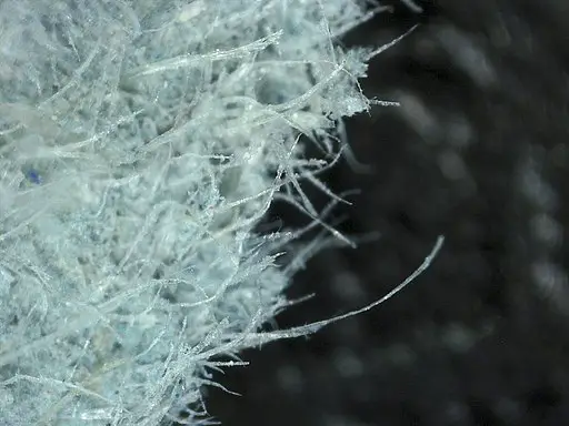 Optical microscope image of light blue paper scrap to observe transparent cellulose fibres with particles of pigment by Eva Santini, Giovanna Canu / CC BY (https://creativecommons.org/licenses/by/4.0)