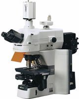 Nikon 80i microscope