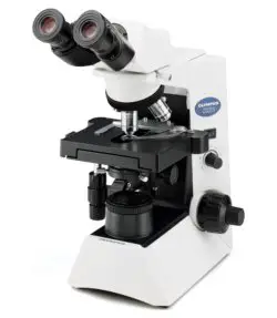 Olympus CX31 microscope