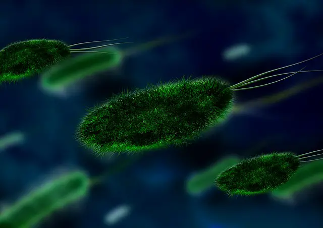 Bacteria image from Gerd Altmann en Pixabay.
