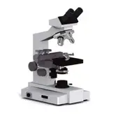 How Does A Microscope Work