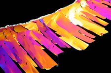 citric acid crystals under polarizing microscope