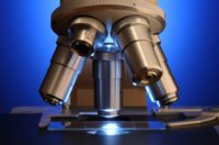 light microscope objective lenses