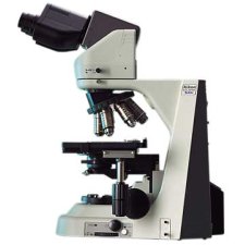 Nikon Eclipse 50i microscope