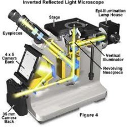 Inverted Microscope Diagram