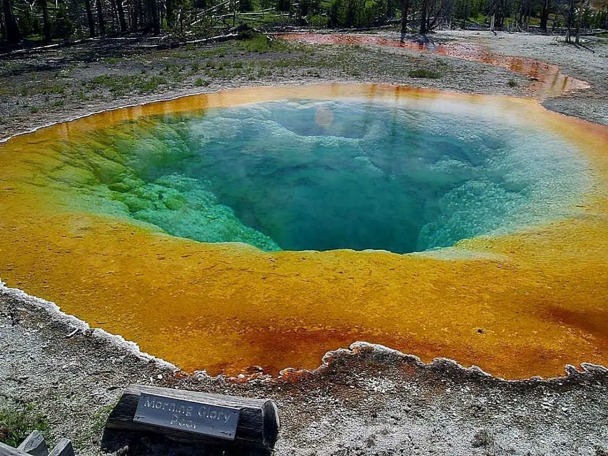 Thermal Springs - Sulfur Bacteria, Creative Commons