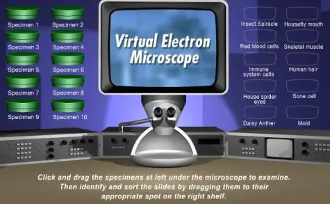 virtual electron microscope